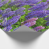 Bluebonnets Blue Floral Texas Texan Elegant Cadeaupapier (Hoek)