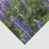 Bluebonnets Blue Floral Texas Texan Elegant Tissuepapier (Detail)