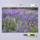 Bluebonnets Blue Floral Texas Texan Elegant Tissuepapier (Craft)