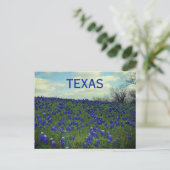 Bluebonnets Blue Flowers Texas Texan Floral Postca Briefkaart (Staand voorkant)