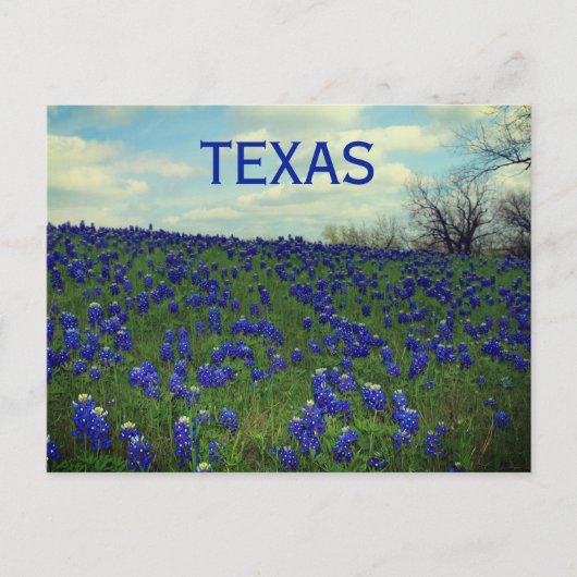 Bluebonnets Blue Flowers Texas Texan Floral Postca Briefkaart (Voorkant)