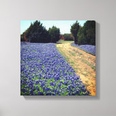 Bluebonnets Dirt Road Print (Voorkant)