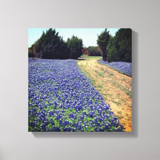 Bluebonnets Dirt Road Print (Voorkant)