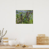 Bluebonnets en phlox rond de begraafplaatshek poster (Keuken)