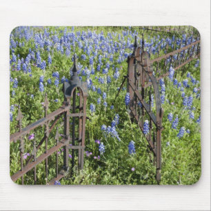 Bluebonnets en phlox rond het kerkhofhek muismat