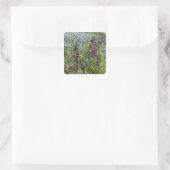 Bluebonnets en phlox rond het kerkhofhek vierkante sticker (Tas)