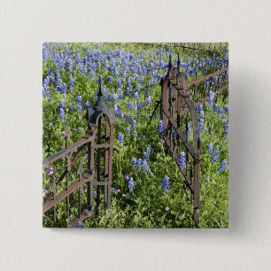 Bluebonnets en phlox rondom het hek van de begraaf vierkante button 5,1 cm