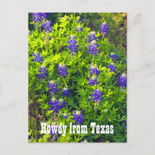 Bluebonnets Howdy uit Texas Wildflower Foto Briefkaart