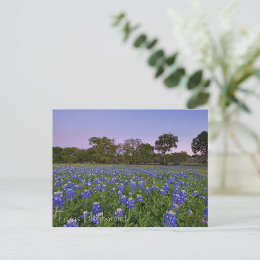 Bluebonnets in het Bloom briefkaart (Staand voorkant)