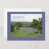 Bluebonnets in Texas Briefkaart (Voorkant / Achterkant)
