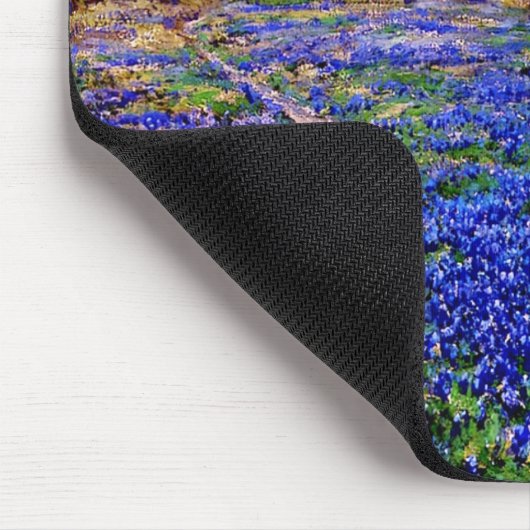 Bluebonnets in Twilight ten noorden van San Antoni Muismat (Hoek)