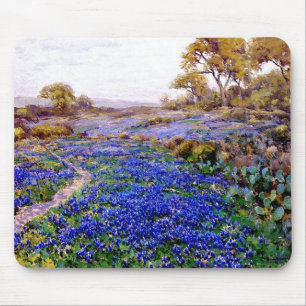 Bluebonnets in Twilight ten noorden van San Antoni Muismat