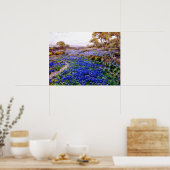 Bluebonnets in Twilight ten noorden van San Antoni Poster (Keuken)
