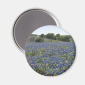 Bluebonnets Magnet (Voorkant / Achterkant)