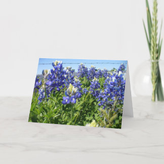 Bluebonnets Notecard Kaart