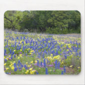 Bluebonnets, primrose en phlox muismat (Voorkant)