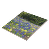 Bluebonnets, primrose en phlox tegeltje (Zijkant)