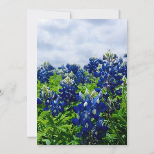 Bluebonnets Texas Blauwe Bloemen Elegante Trouw Ui Kaart (Achterkant)