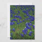 Bluebonnets Texas Blue Floral Elegant Wedding Kaart (Achterkant)