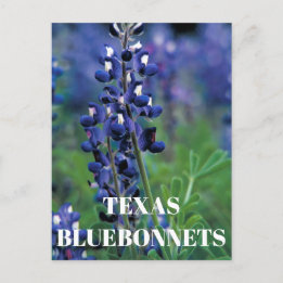 Bluebonnets Texas State Bloem Blauw Bloemen Lupine Briefkaart