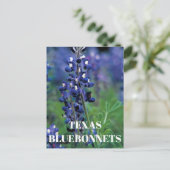 Bluebonnets Texas State Bloem Blauw Bloemen Lupine Briefkaart (Staand voorkant)