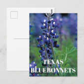 Bluebonnets Texas State Bloem Blauw Bloemen Lupine Briefkaart (Voorkant / Achterkant)