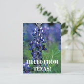 Bluebonnets Texas State Bloem Blauw Bloemen Lupine Briefkaart (Staand voorkant)