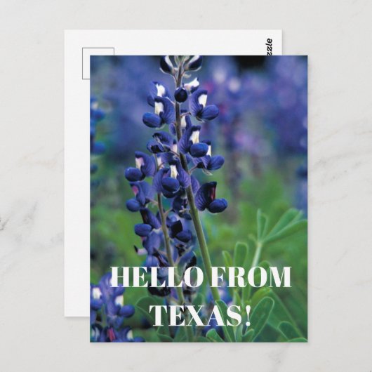Bluebonnets Texas State Bloem Blauw Bloemen Lupine Briefkaart (Voorkant / Achterkant)