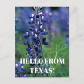 Bluebonnets Texas State Bloem Blauw Bloemen Lupine Briefkaart (Voorkant)