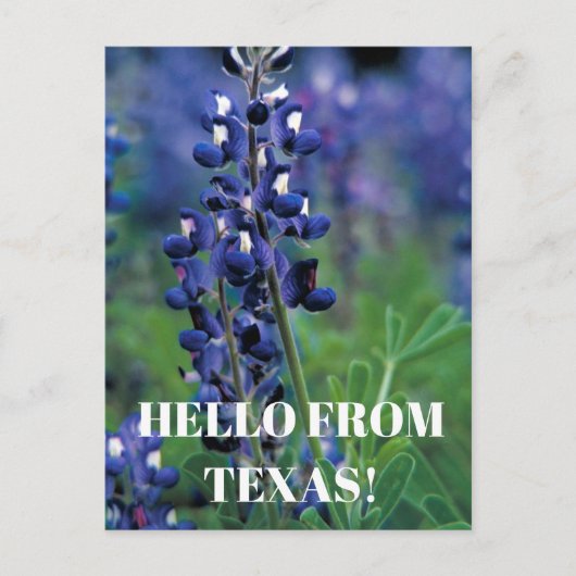 Bluebonnets Texas State Bloem Blauw Bloemen Lupine Briefkaart (Voorkant)