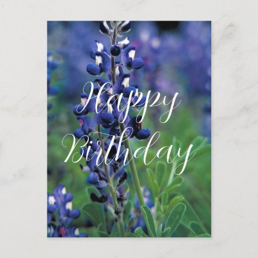 Bluebonnets Texas State Flower Blue Verjaardag Briefkaart (Voorkant)