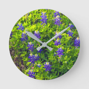 Bluebonnets Texas State Flower Wildbloemen Foto Ronde Klok