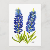 Bluebonnets Texas State Flowers Lupine Waterverf Briefkaart (Voorkant)