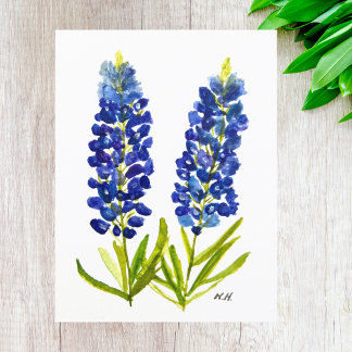 Bluebonnets Texas State Flowers Lupine Waterverf Briefkaart