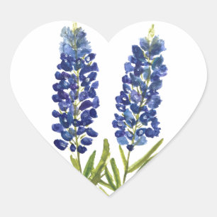 Bluebonnets Texas State Flowers Lupine Waterverf Hart Sticker