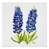 Bluebonnets Texas State Flowers Lupine Waterverf Perfect Poster (Voorkant)