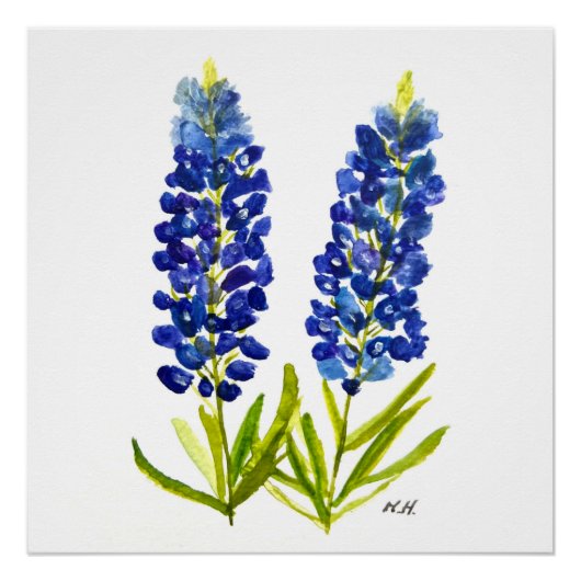 Bluebonnets Texas State Flowers Lupine Waterverf Perfect Poster (Voorkant)