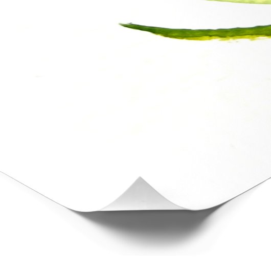 Bluebonnets Texas State Flowers Lupine Waterverf Perfect Poster (Hoek)