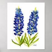 Bluebonnets Texas State Flowers Lupine Waterverf Poster (Voorkant)