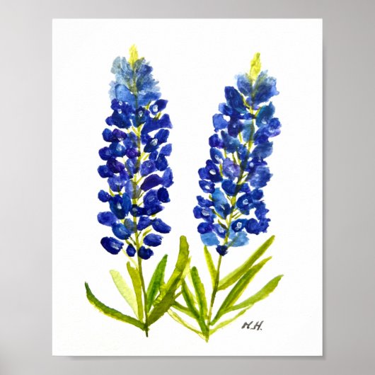 Bluebonnets Texas State Flowers Lupine Waterverf Poster (Voorkant)