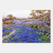 Bluebonnets Wrapping Paper Flat Sheet Set van 3 (Voorkant 3)