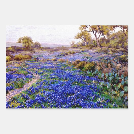 Bluebonnets Wrapping Paper Flat Sheet Set van 3 (Voorkant)