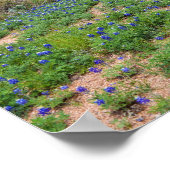 Bluebonnetveld, Austin, Texas Poster (Hoek)