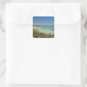 Bluefields, Jamaica Zuidwestkust Vierkante Sticker (Tas)