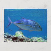 Bluefin Trevally Briefkaart (Voorkant)