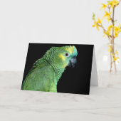 Bluefront Amazon Parrot Notecard Kaart (Gele Bloem)