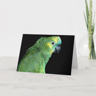 Bluefront Amazon Parrot Notecard Kaart