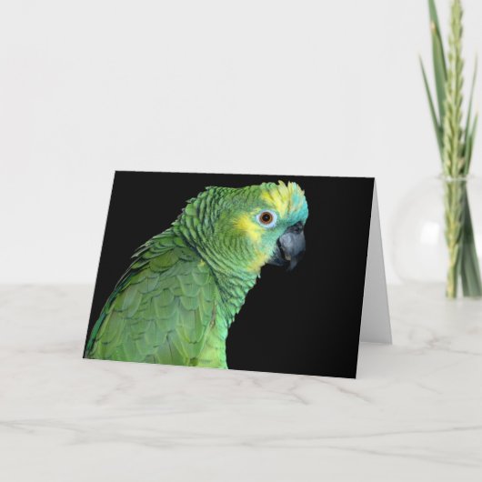 Bluefront Amazon Parrot Notecard Kaart (Voorkant)
