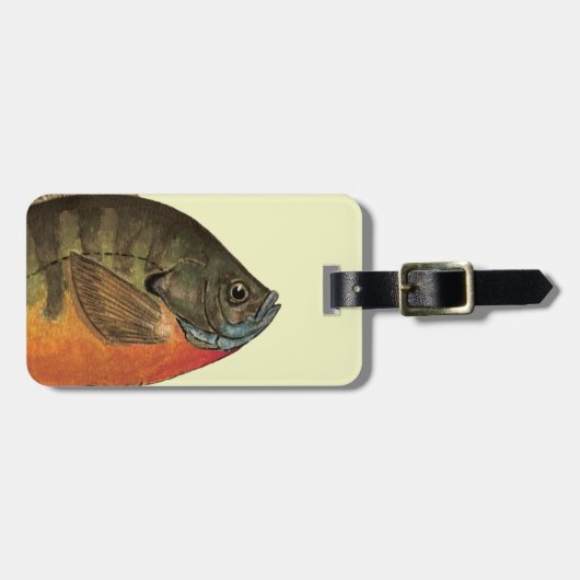 Bluegill Bream Bagagelabel (Voorkant horizontaal)