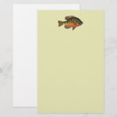 Bluegill Bream Briefpapier (Voorkant / Achterkant)